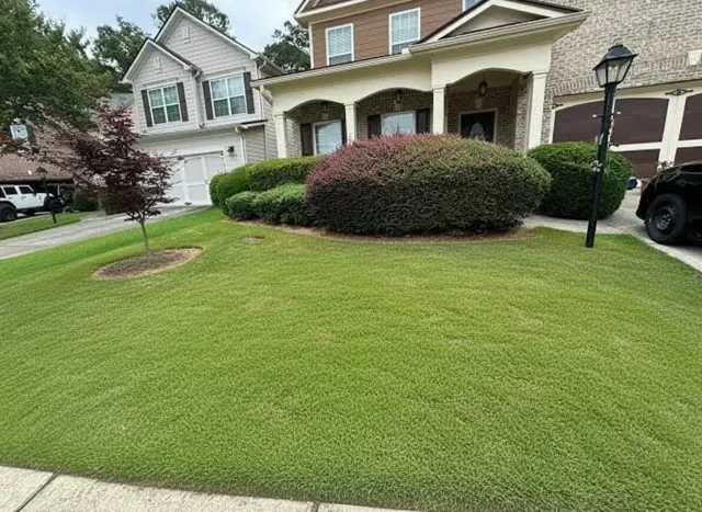 The same property with the lawn restored