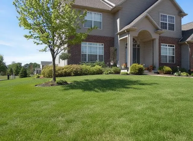 The same property with the lawn restored