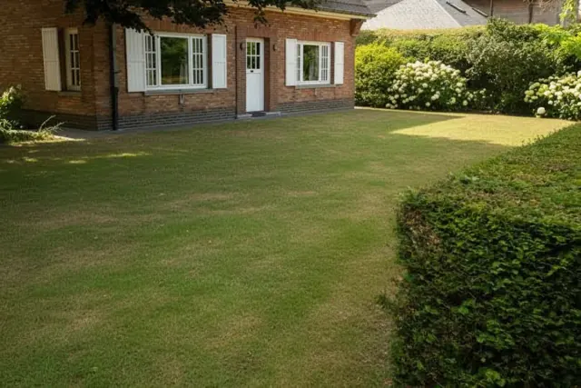 The same property with the lawn restored