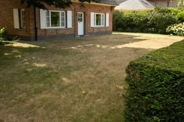 A property with a patchy, worn lawn